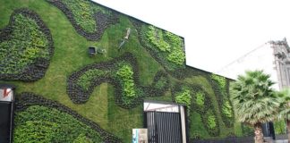 Giardinaggio in verticale 1553 0 Giardinaggio in verticale.JPG